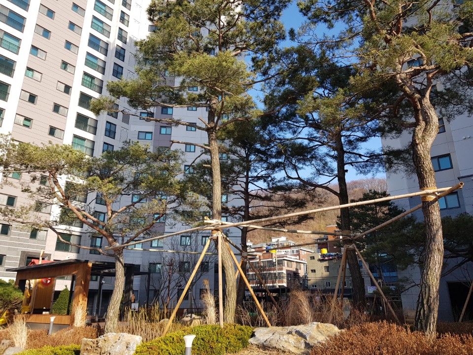 대나무 지주목 연결 구조 1