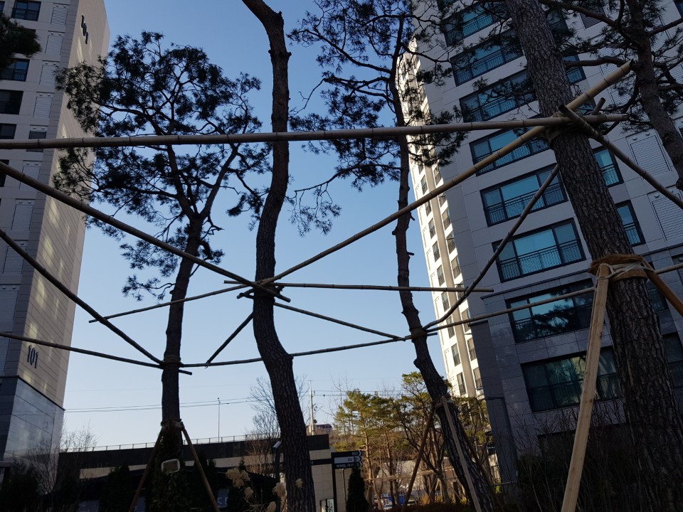 대나무 지주목 연결 구조 2